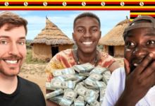 Mr Beast Salary