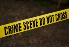fraud caller investigation council
